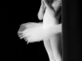 provagenerale_444