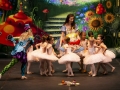 Alice29maggio_799