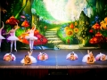 alice30maggio_695