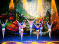 alice30maggio_822