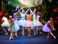alice30maggio_966