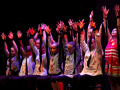 provechicago_554
